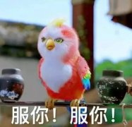 视剧制做者也该当思虑：若何接地气？少华侈超