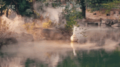 正在零点钟声敲响时